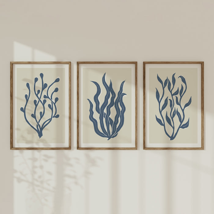 A set of three framed indigo blue lino cut seaweed art prints in natural wood frames.