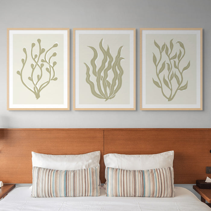 Set of 3 framed lino cut seaweed prints in neutral colours in bedroom.