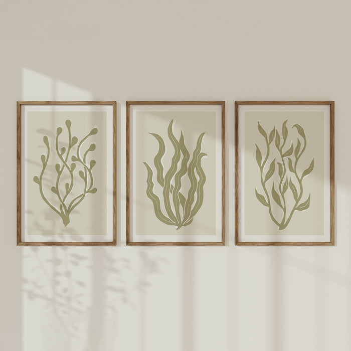 Set of three framed art prints of abstract seaweed in neutral tones, displayed in a vertical wooden frames.
