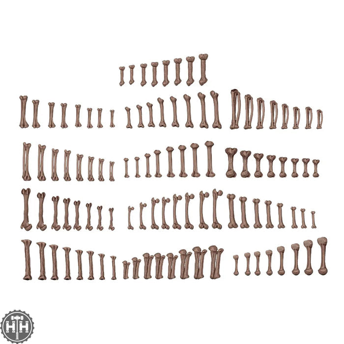 AKBIT0013 Human Bones AK Interactive