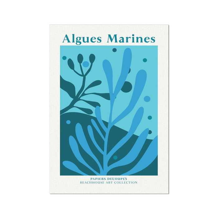 Seaweed art print with marine blue design and 'Algues Marines' text on a white background