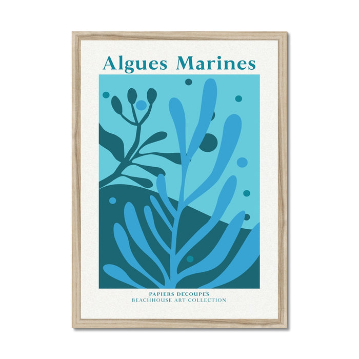 Framed artwork of marine algae with 'Algues Marines' text on a white background