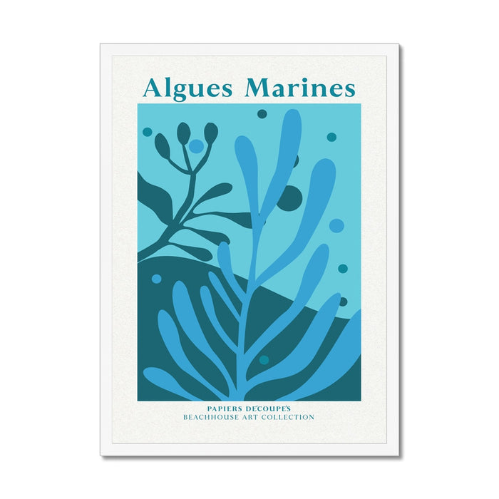 Seaweed art print with blue marine algae design and 'Algues Marines' text on a white background