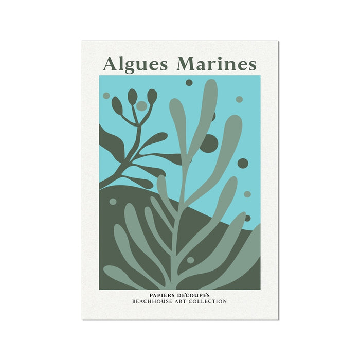 Seaweed art print with marine algae design and text 'Algues Marines' on a white background