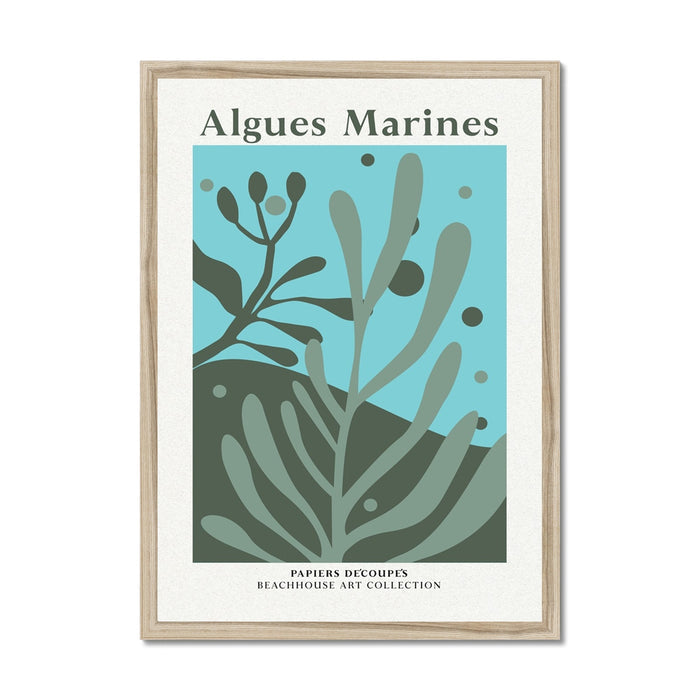 Framed artwork with seaweed design and 'Algues Marines' text on a white background