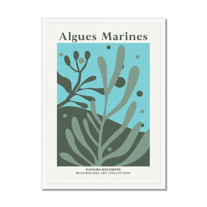 Seaweed art print with marine algae design and 'Algues Marines' text on a white background