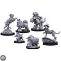 Animal Adventures: Dogs of the Faraway Sea Animal Adventures Steamforged Games