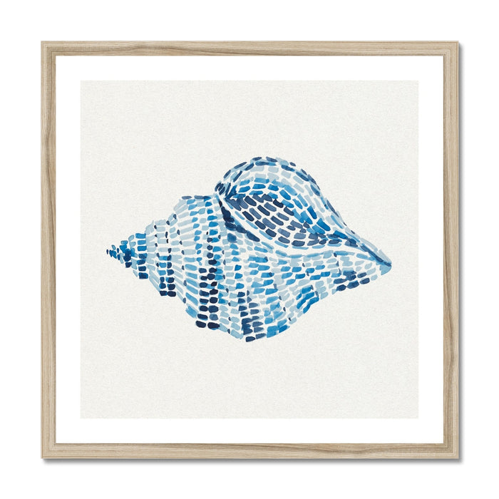 Framed artwork of a blue shell on a white background