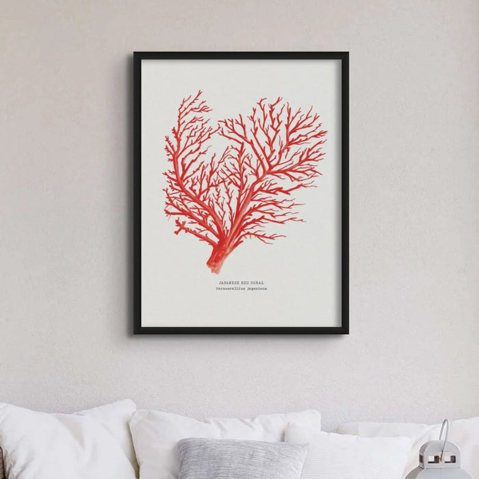 Coral Wall Art Print (Red Coral No 1) - Framed - Coral Painting by Beach House Art