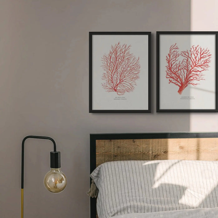 Coral Wall Art Print (Red Coral No 1) - Framed - Coral Painting by Beach House Art