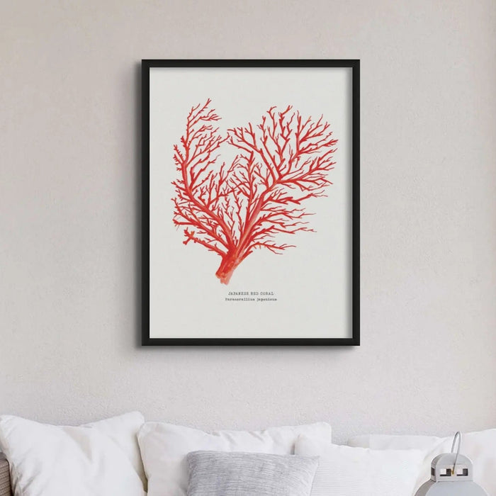 Coral Print (Red Coral No 1) - Unframed