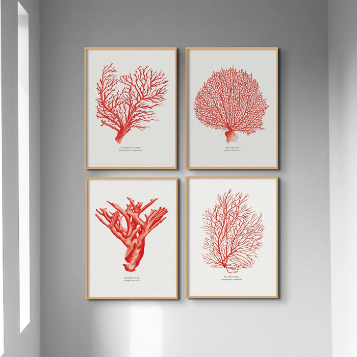 Coral Print (Red Coral No 4) - Unframed