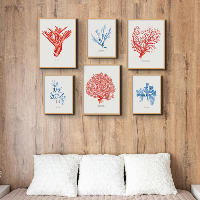 Coral Print (Red Coral No 4) - Unframed