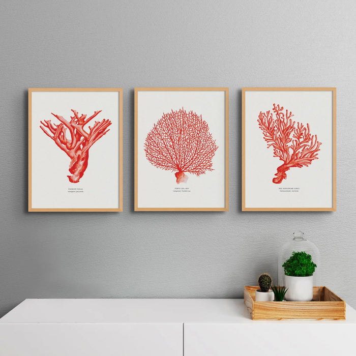 set of three coral paintings framed in natural wood frames on wall above sideboard.