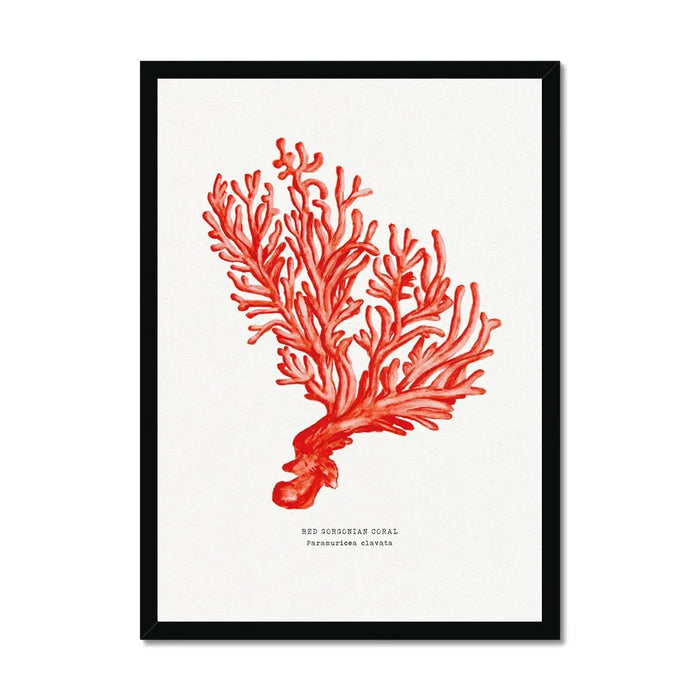 Coral Painting Print (Red Coral No 5) - Framed