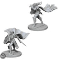 D&D Elf Female Paladin D&D RPG Miniatures WizKids