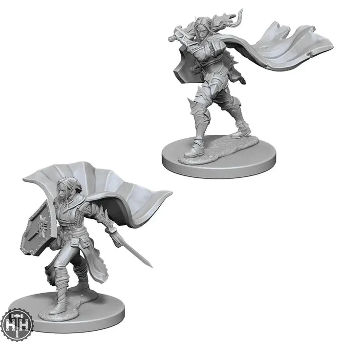 D&D Elf Female Paladin D&D RPG Miniatures WizKids