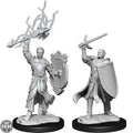 D&D Half-Elf Paladin Male D&D RPG Miniatures WizKids