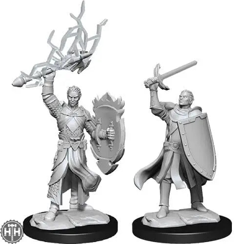 D&D Half-Elf Paladin Male D&D RPG Miniatures WizKids