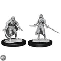 D&D Half-Elf Rogue Female D&D RPG Miniatures WizKids
