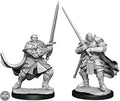 D&D Half-Orc Paladin Male D&D RPG Miniatures WizKids