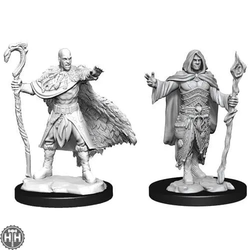 D&D Human Druid Male D&D RPG Miniatures WizKids