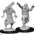 D&D Scarecrow & Stone Cursed D&D RPG Miniatures WizKids