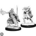 D&D Winter Eladrin & Spring Eladrin D&D RPG Miniatures WizKids