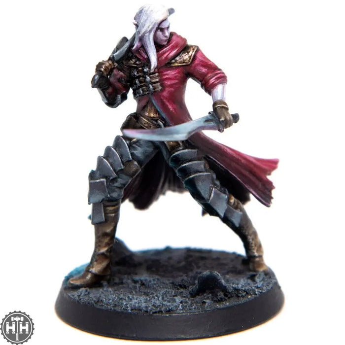 Eldfall Chronicles: Thenrin Swashbuckler Eldfall Chronicles Free Company