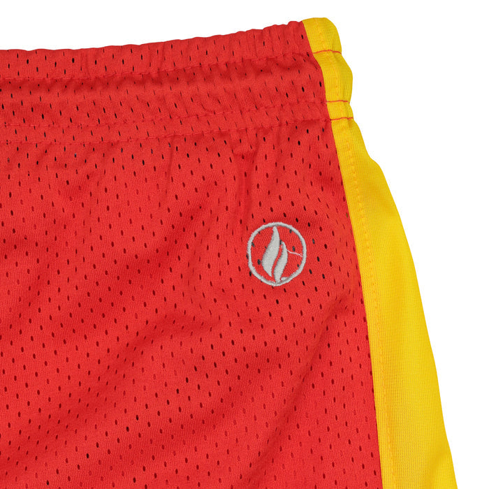 FISLL NBA Adult Men's Atlanta Hawks Shorts
