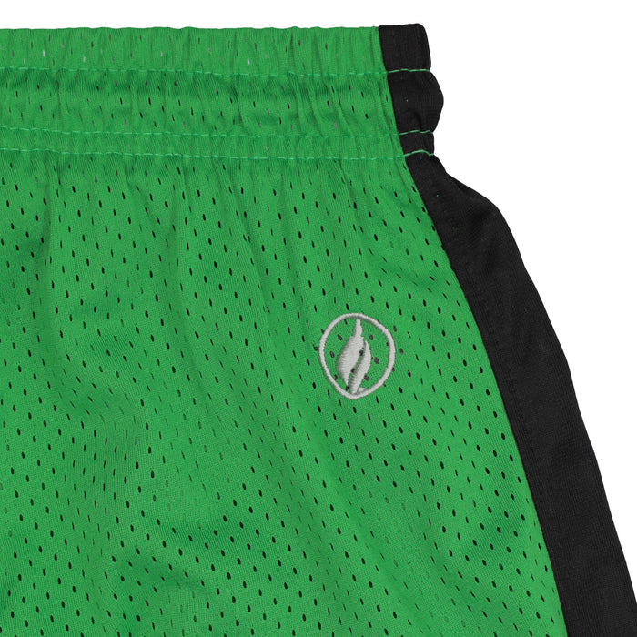 FISLL NBA Adult Men's Boston Celtics Shorts
