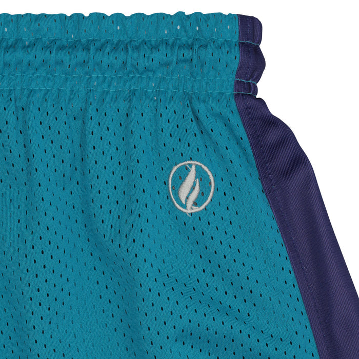 FISLL NBA Adult Men's Charlotte Hornets Shorts, Team Color