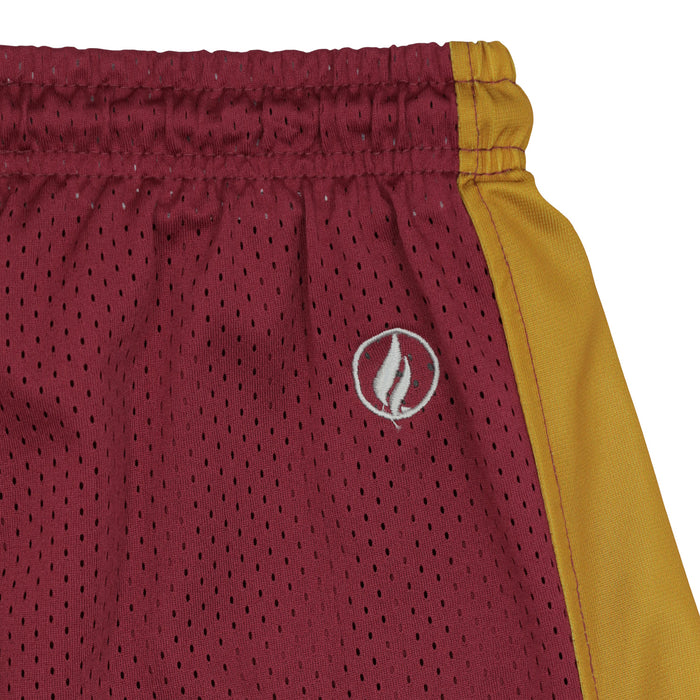 FISLL NBA Adult Men's Cleveland Cavaliers Shorts, Team Color