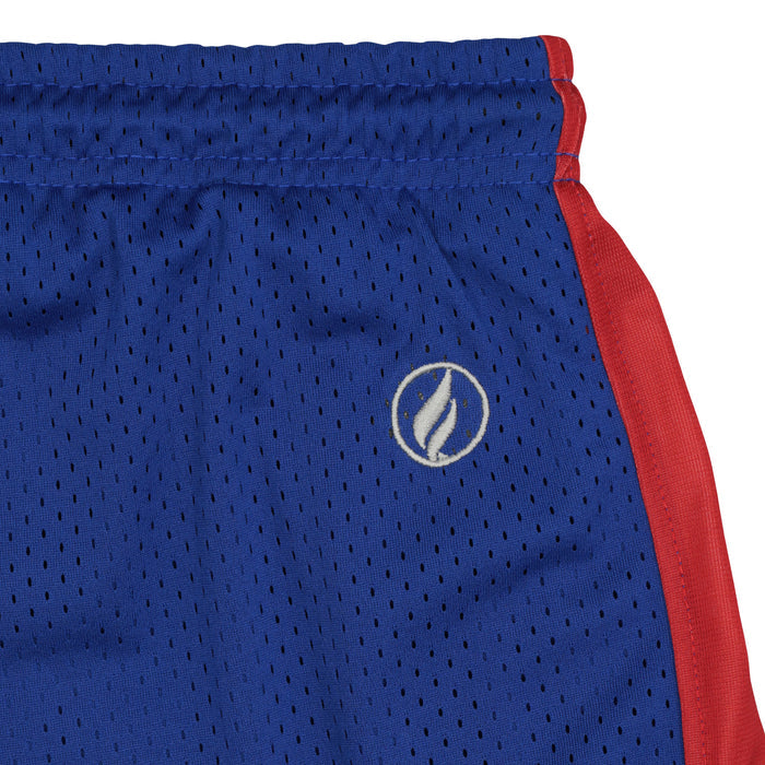 FISLL NBA Adult Men's Detroit Pistons Shorts