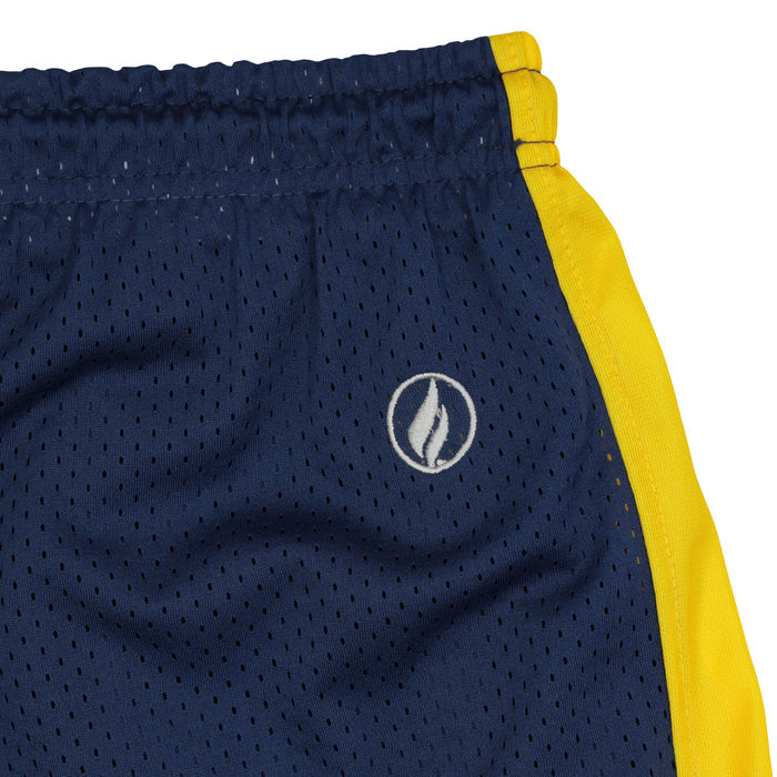 FISLL NBA Adult Men's Indiana Pacers Shorts