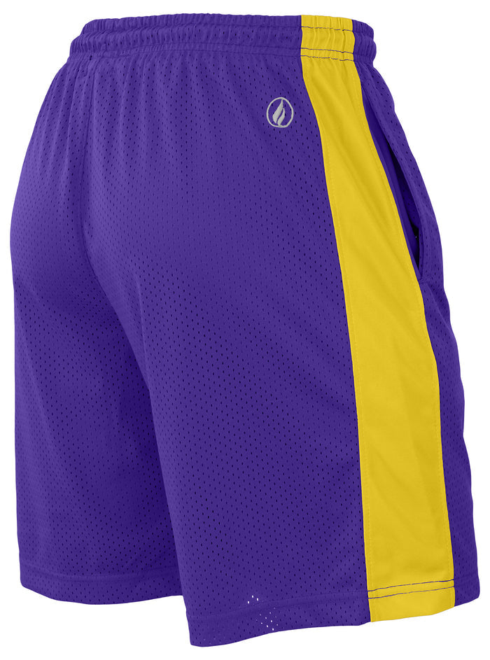 FISLL NBA Adult Men's Los Angeles Lakers Shorts, Team Color