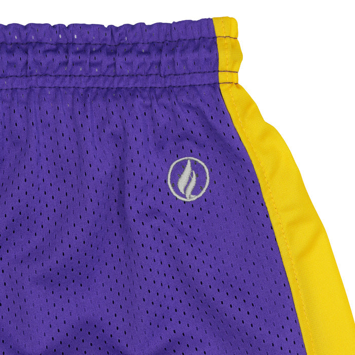 FISLL NBA Adult Men's Los Angeles Lakers Shorts, Team Color