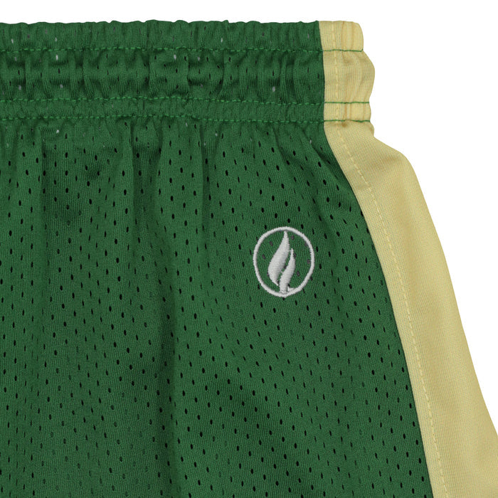 FISLL NBA Adult Men's Milwaukee Bucks Shorts