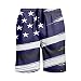 FOCO NFL Baltimore Ravens Americana Traditional Swim Trunks - Mens