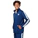 FOCO NFL Tennessee Titans Stripe Logo Track Pants - Mens