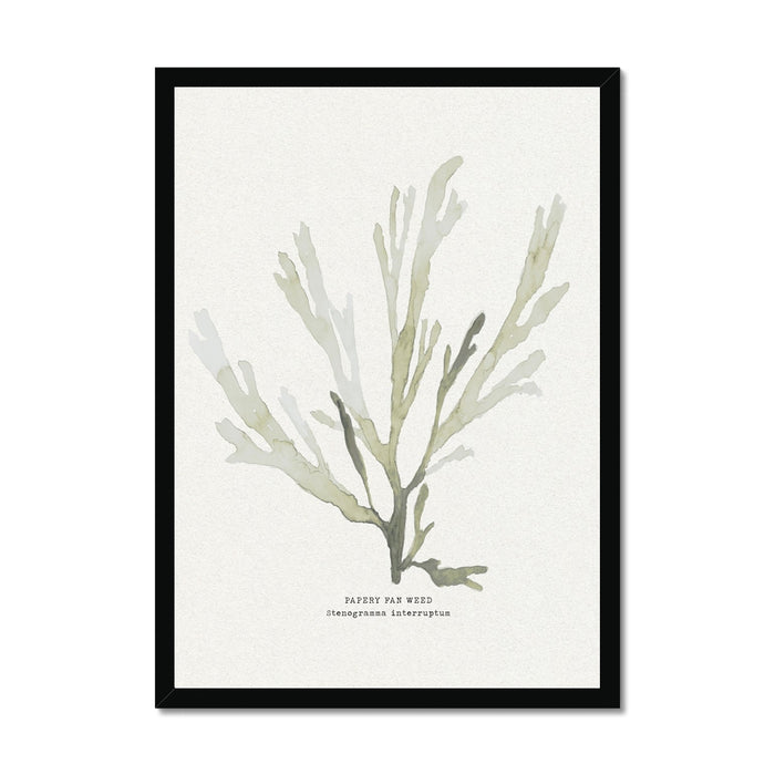 Framed art print of green seaweed against a white background, with a black frame.