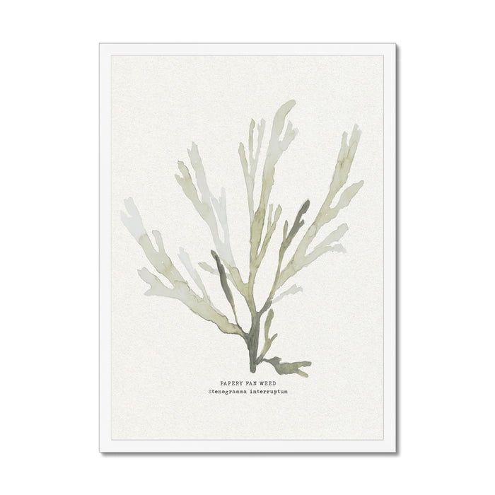 Framed green seaweed painting on paper background, framed with a white frame.