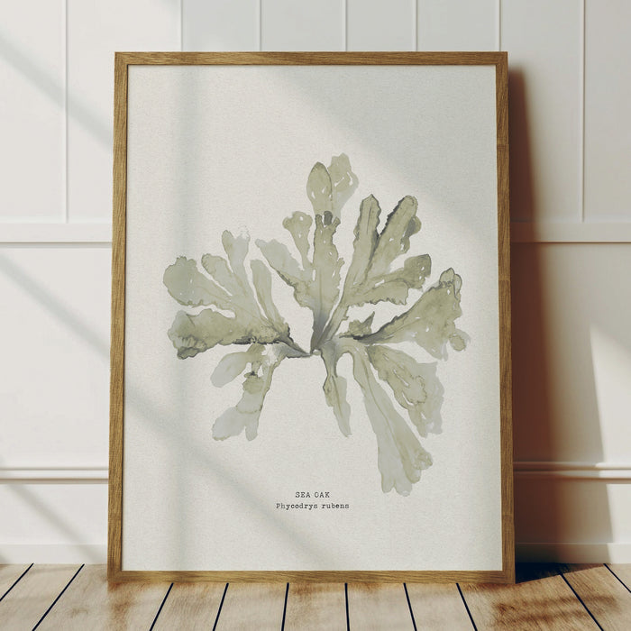 Framed Green Sea Oak seaweed art print, botanical watercolour wall art in muted green