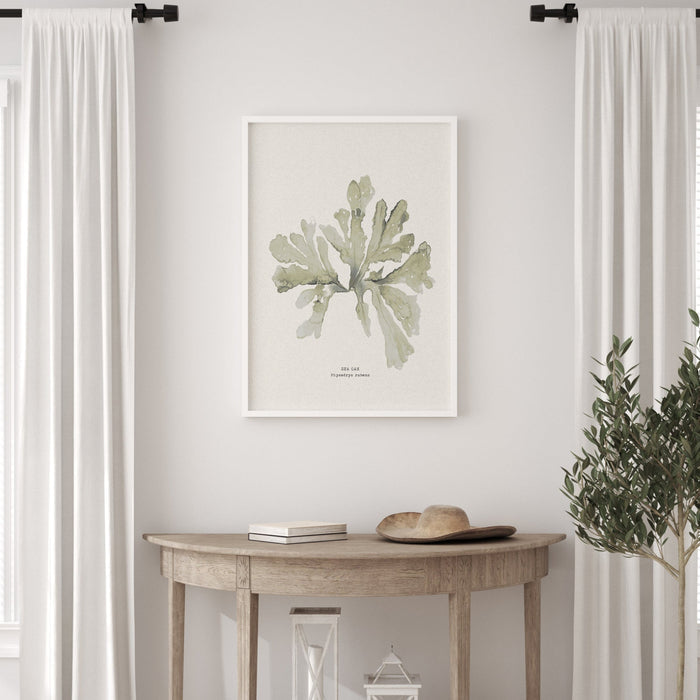 green seaweed art print of a sea oak painting on wall in living room - seaweed painting