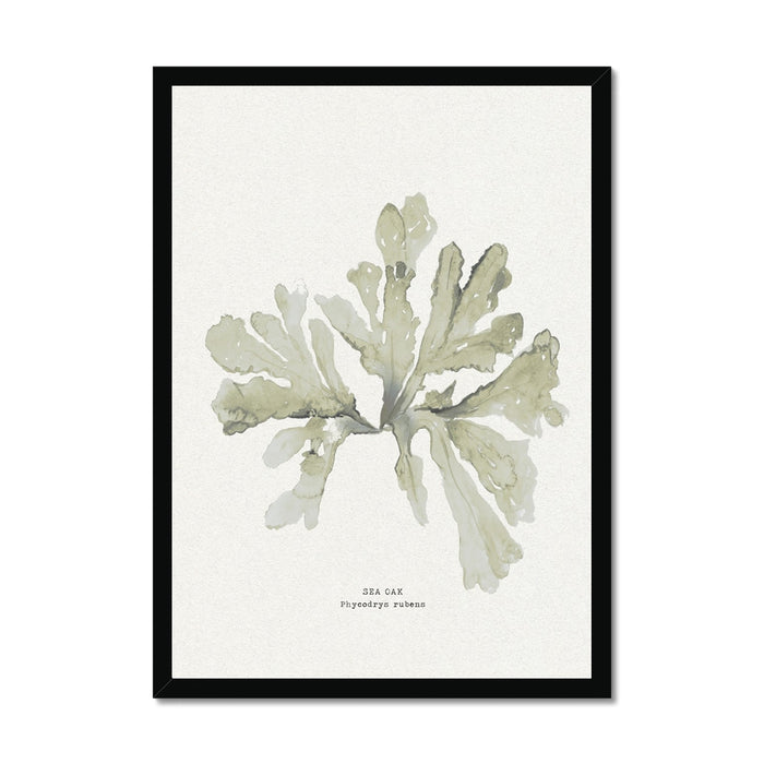 Framed art print of green seaweed on a neutral background, with the artist's signature at the bottom.