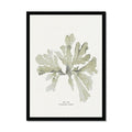 Framed art print of green seaweed on a neutral background, with the artist's signature at the bottom.