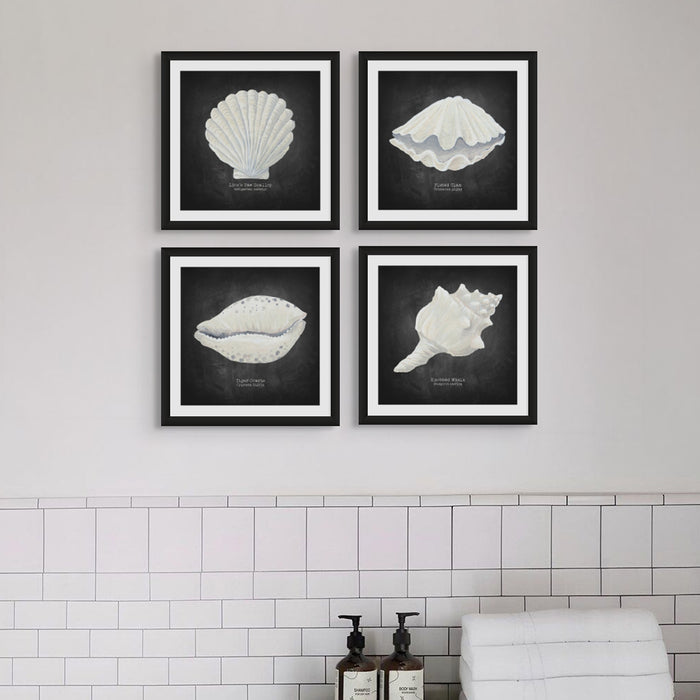 Four framed prints of shells on a wall with tiled bathroom floor.