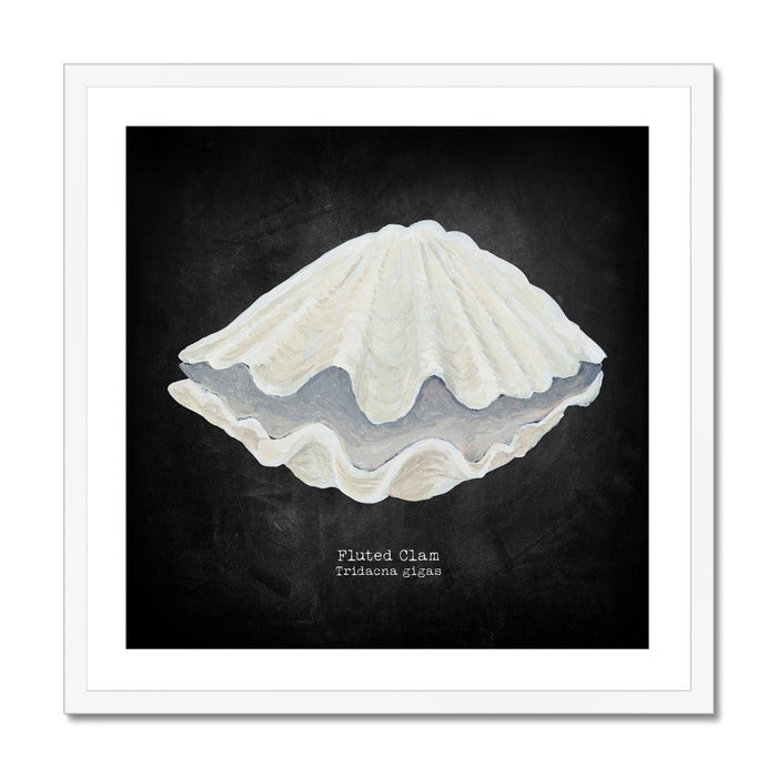 Framed artwork of a fluted clam shell on a black background