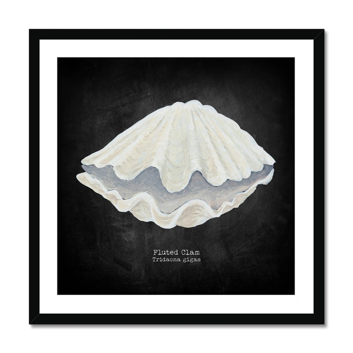 Framed artwork of a fluted clam shell on a black background