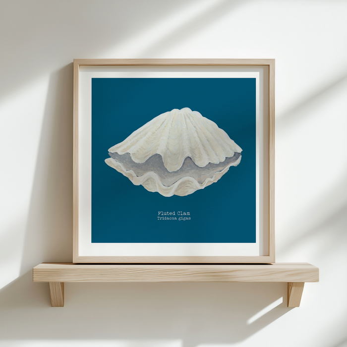 Shell painting - Framed artwork of a shell on a blue background, displayed on a wooden shelf.